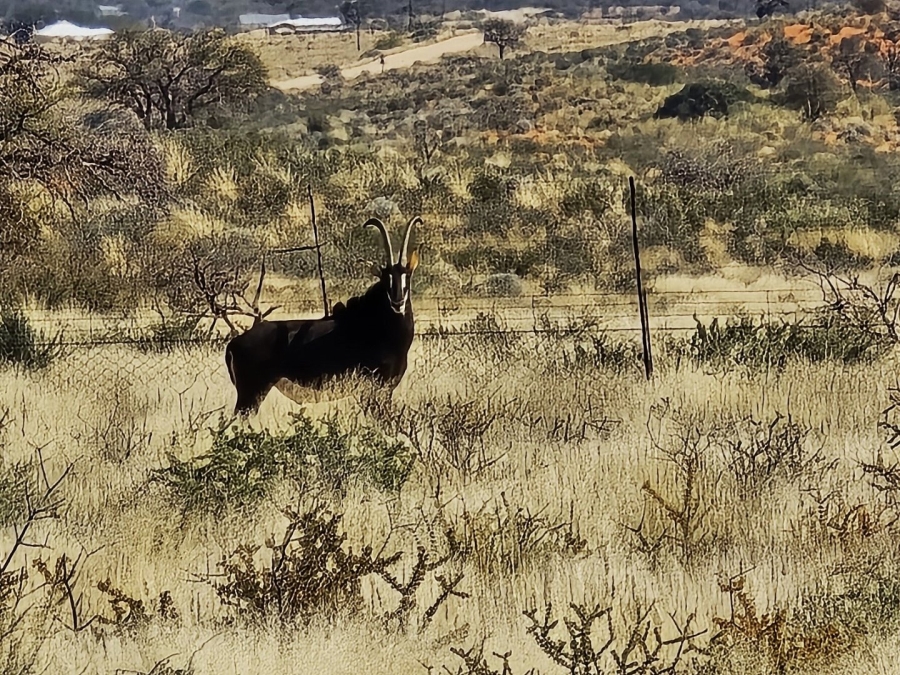 Commercial Property for Sale in Kenhardt Northern Cape